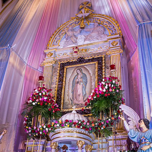 EL ABC DE LAS FIESTAS GUADALUPANAS DE PUERTO VALLARTA