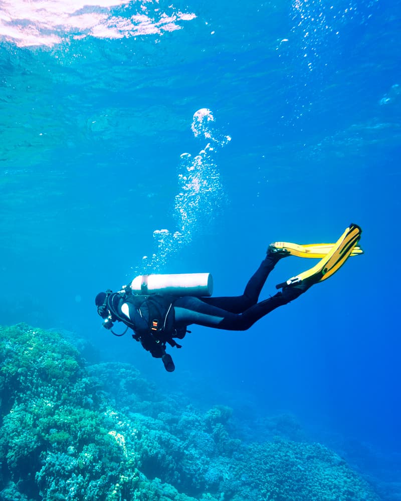 Buceo en Puerto Vallarta