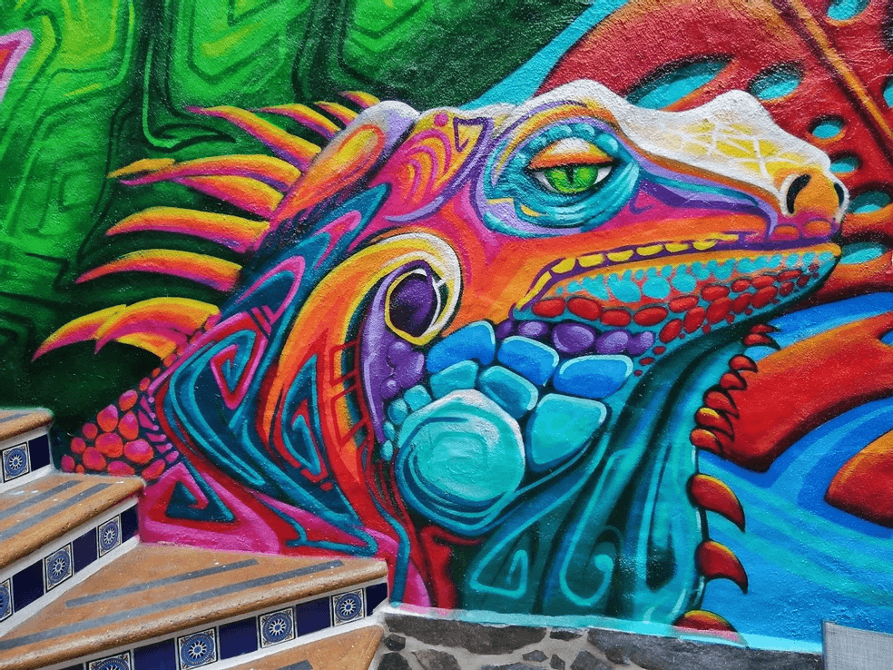 Iguana
