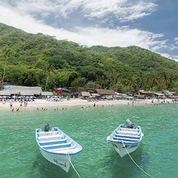 Enjoy a Day at Las Animas Beach