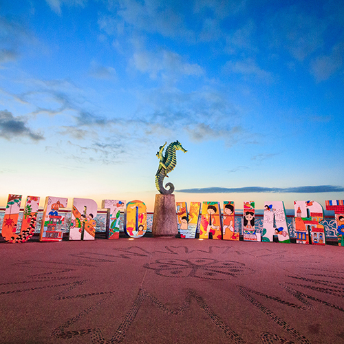 9 Things to Do with Mom in Puerto Vallarta