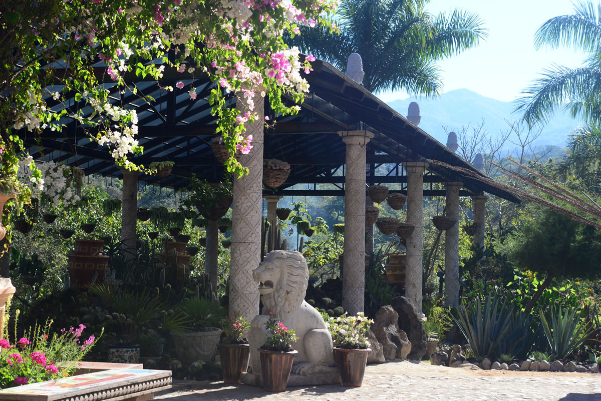 Jardín Botánico de Puerto Vallarta ganó un lugar como uno de los 10 mejores de América del Norte