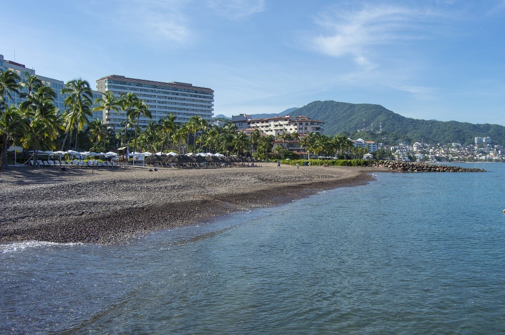 Descubre la gastronomía de Puerto Vallarta