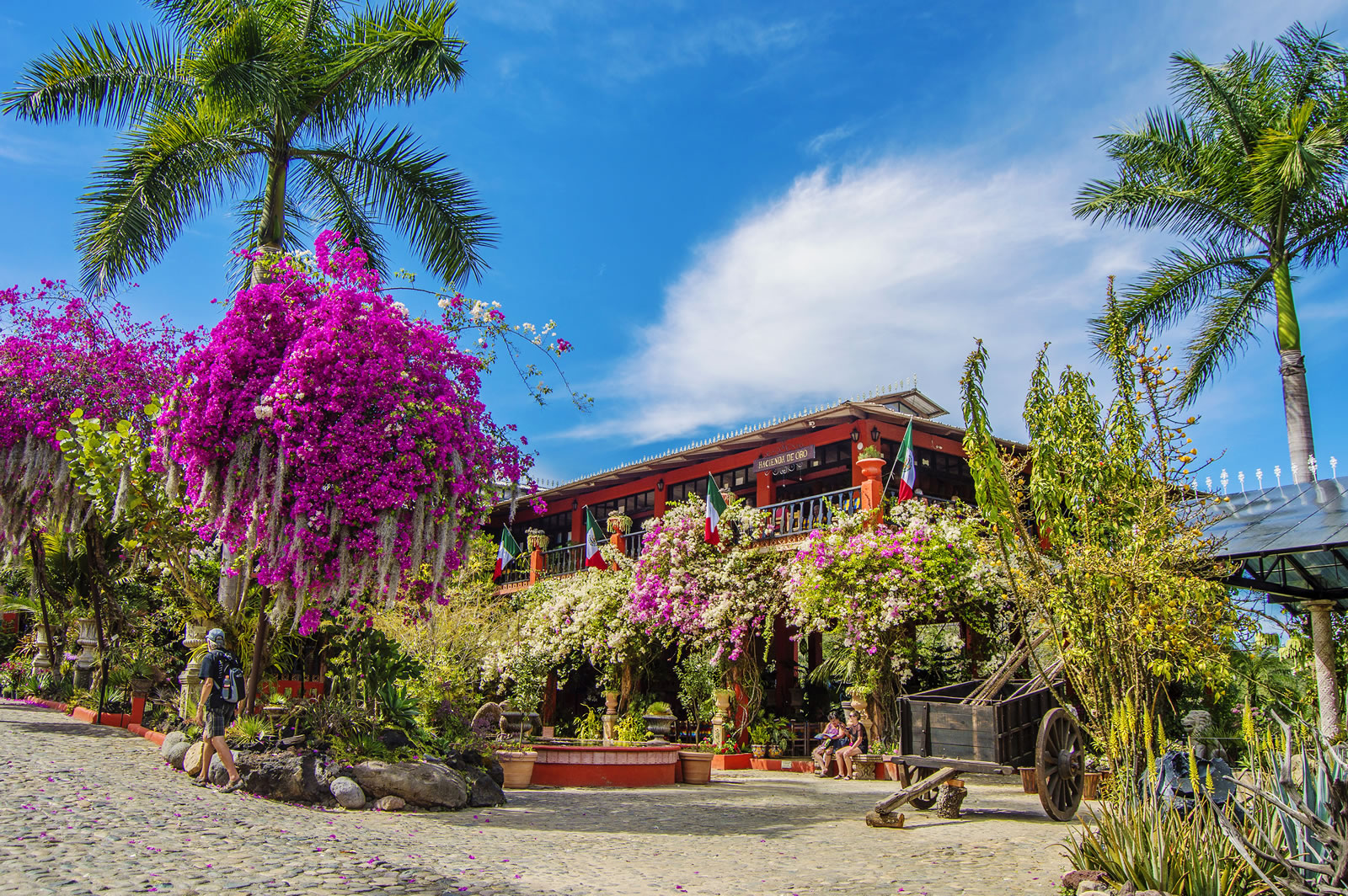 Vista el Jardín Botánico en Puerto Vallarta