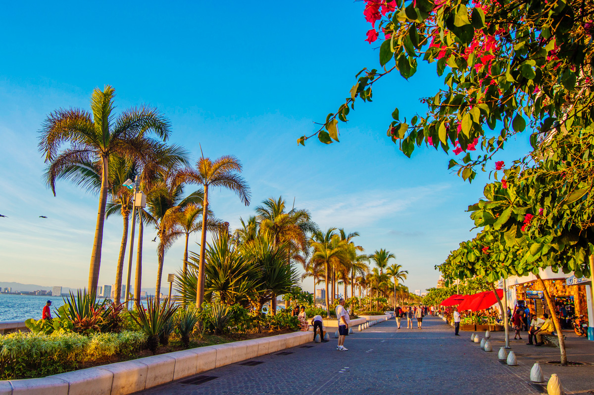Vive tus vacaciones de verano en Puerto Vallarta