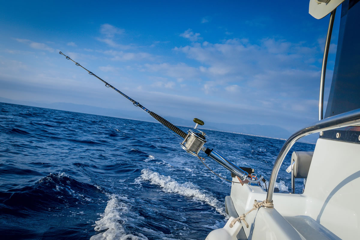 Torneo Internacional De Pesca de Marlín y Pez Vela 2018 en Puerto Vallarta