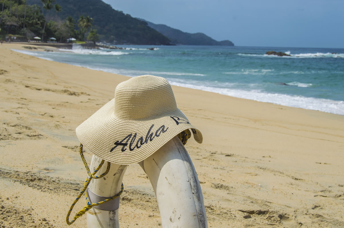 En Puerto Vallarta encontraras todo lo que necesitas a precios que se ajustan a cualquier presupuesto