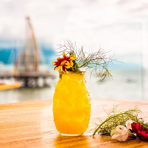 Raicilla & Tequila Experiences in Puerto Vallarta
