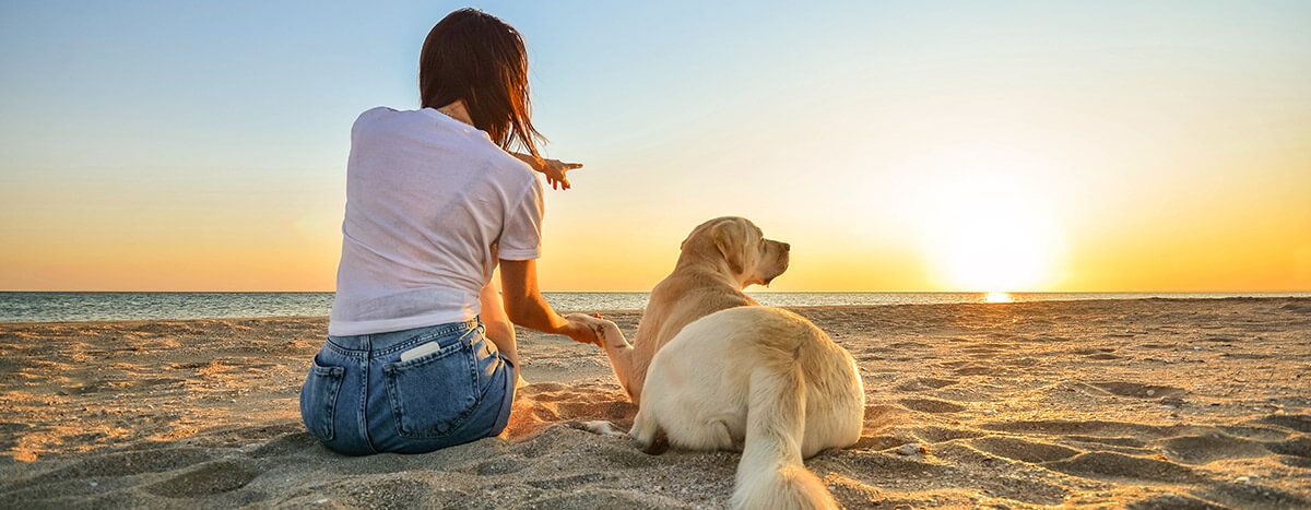 Puerto Vallarta Pet friendly