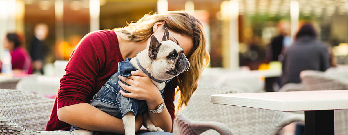 Puerto Vallarta Pet friendly