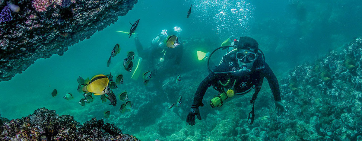Puerto Vallarta buceo