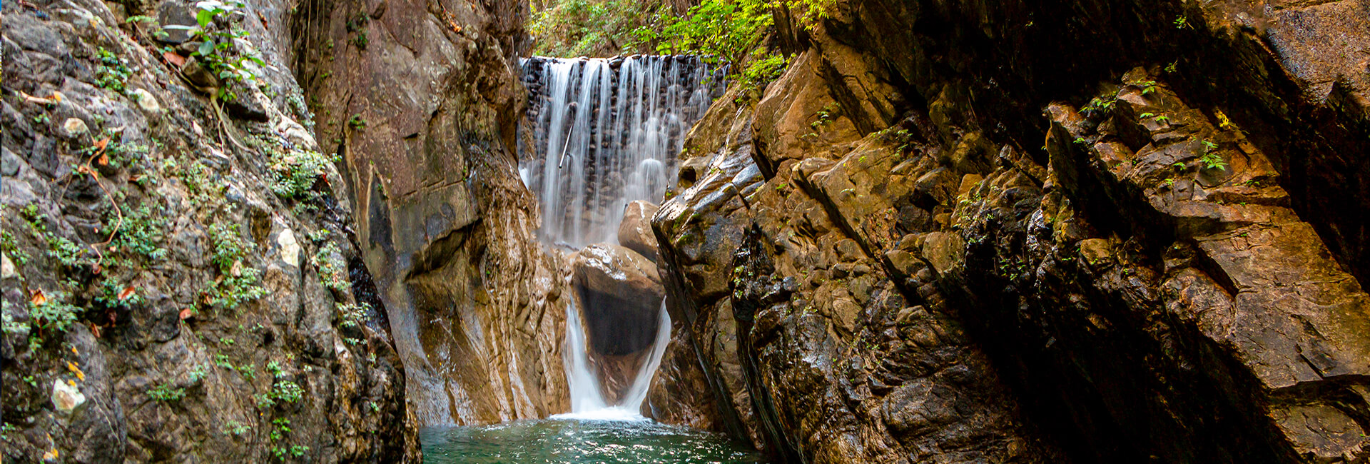 Palo Maria Puerto Vallarta