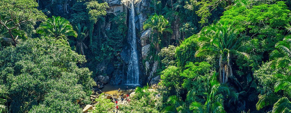 Vista aérea de la impresionante cascada de Yelapa rodeada de exuberante vegetación.