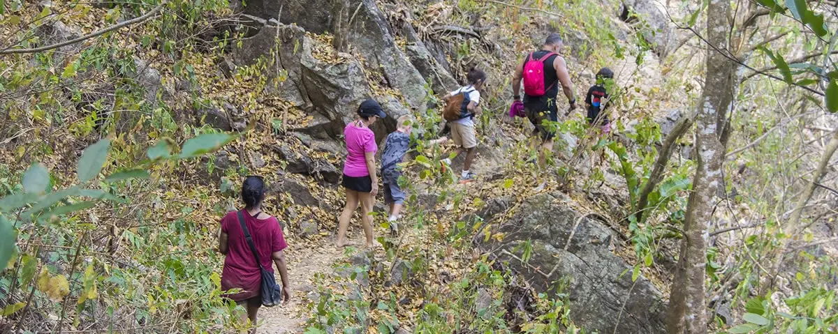 Caminata por los exuberantes paisajes de las montañas de la Sierra Madre Occidental.