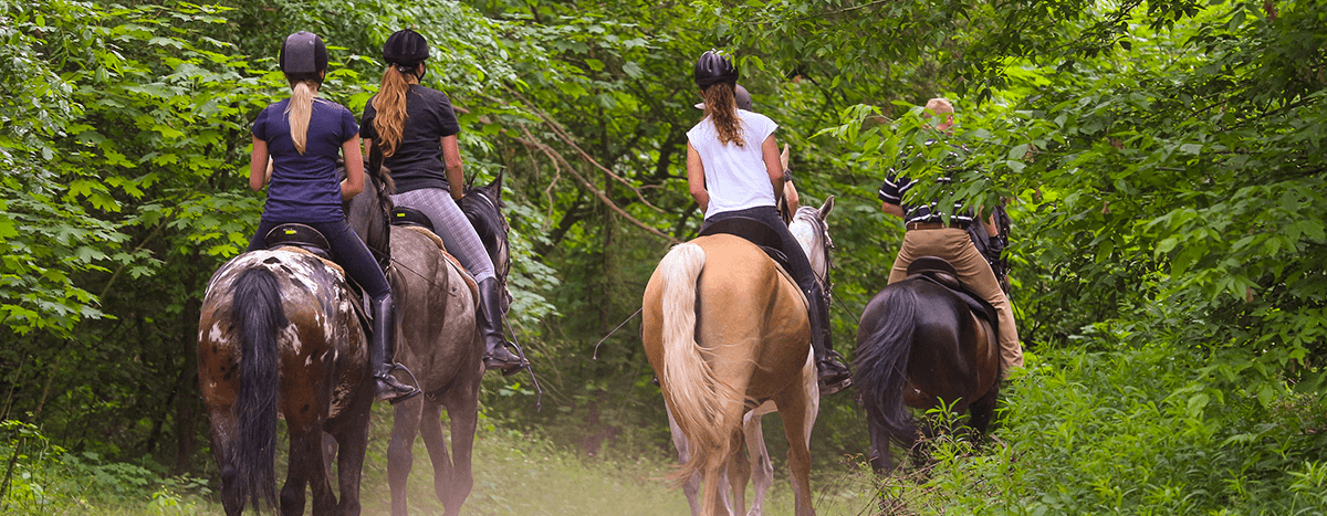 Montar a caballo en puerto vallarta