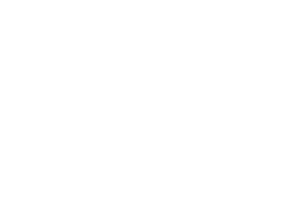 CIC Logo